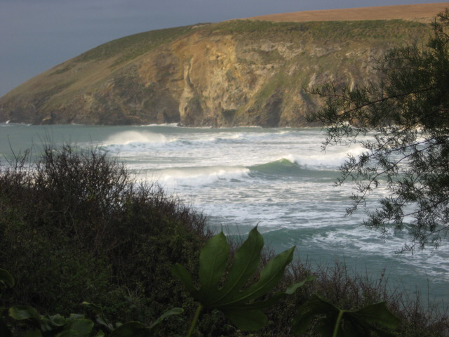 Coastal Gardens Picture 1